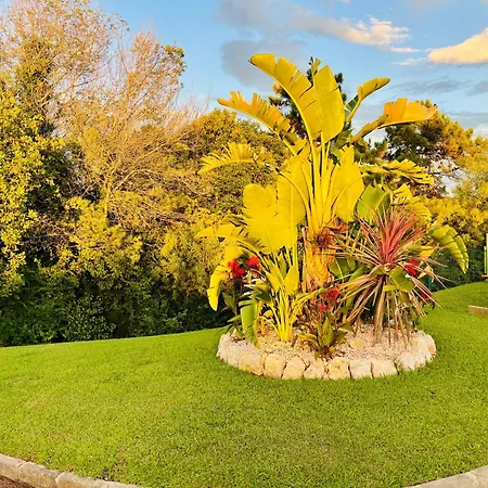 Апартаменты Riviera *